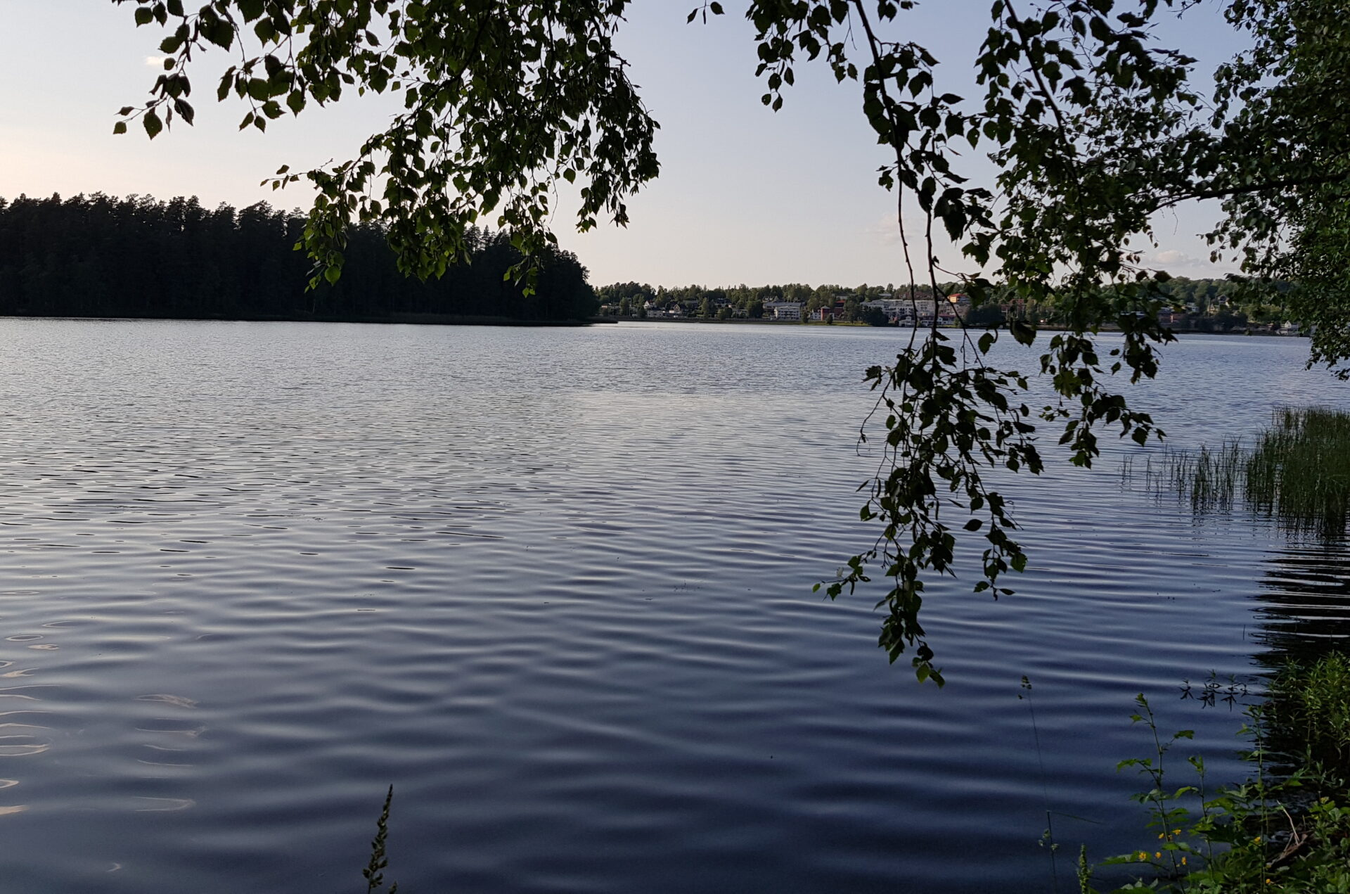 Utsikt över Mullsjön under kvällspromenad i juni.