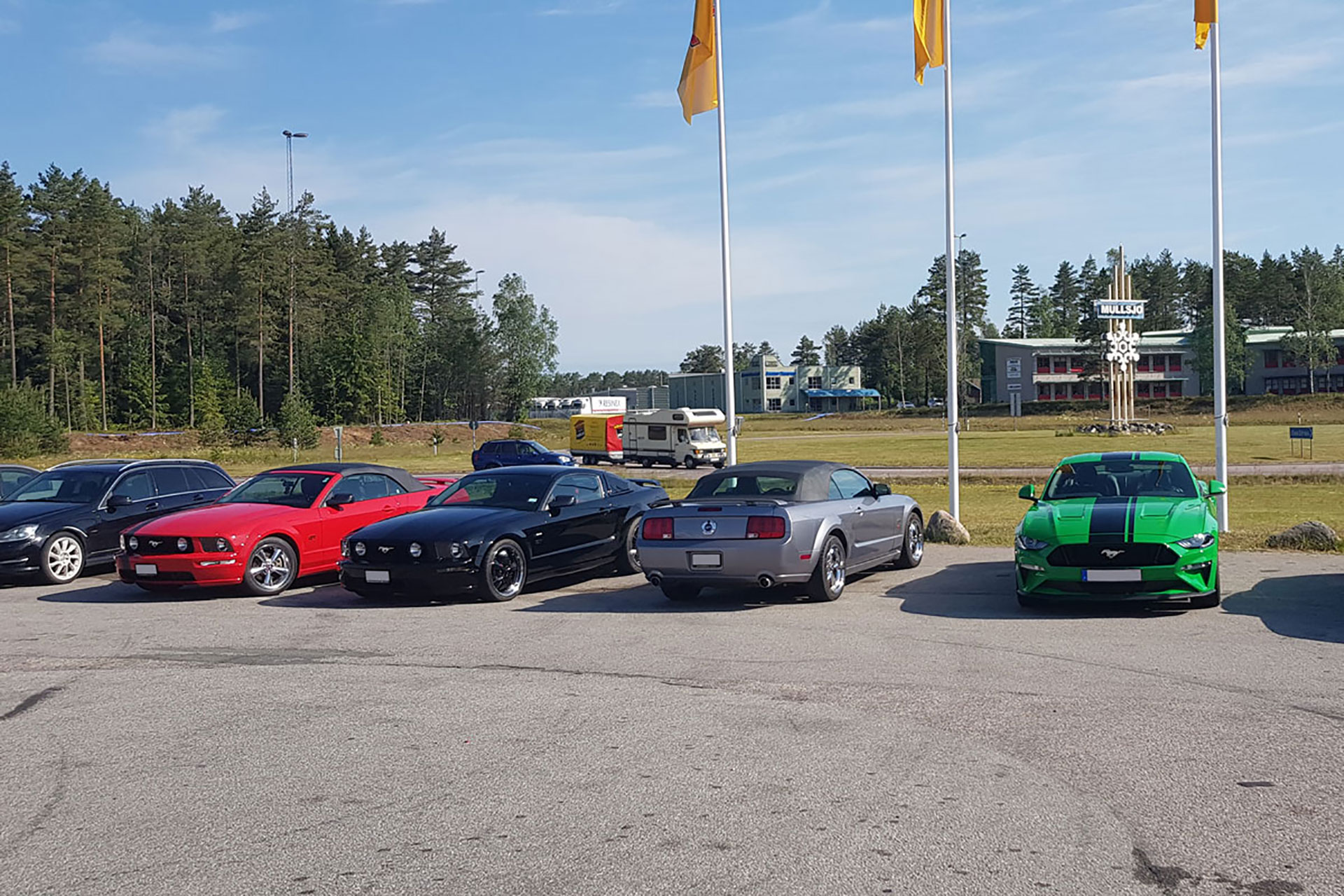 Mustanger på rad